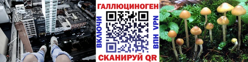 Псилоцибиновые грибы ЛСД  как найти наркотики  Семилуки 